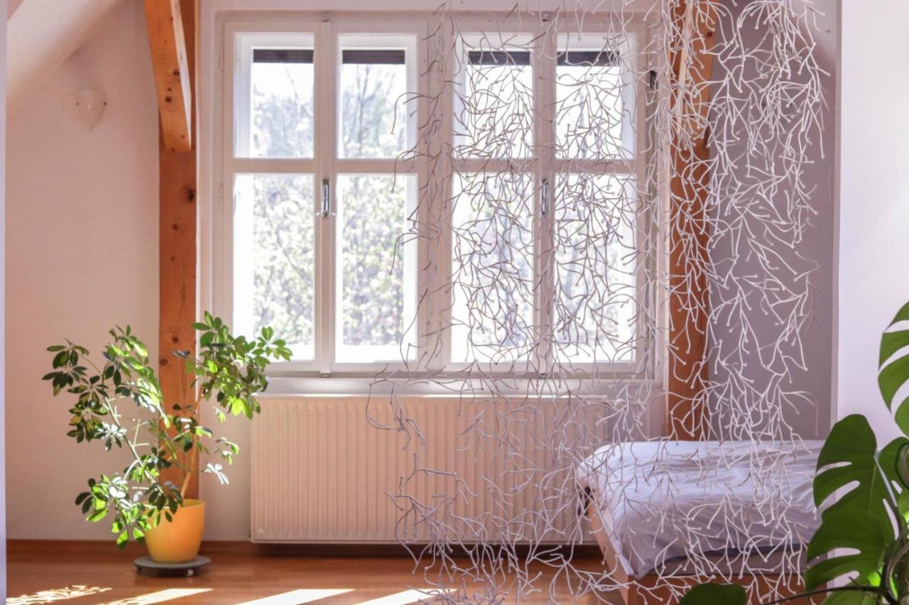Apartment In The Heart Of Bled With Views Extérieur photo